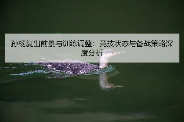 孙杨复出前景与训练调整：竞技状态与备战策略深度分析